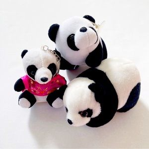 Super Cute Panda Family